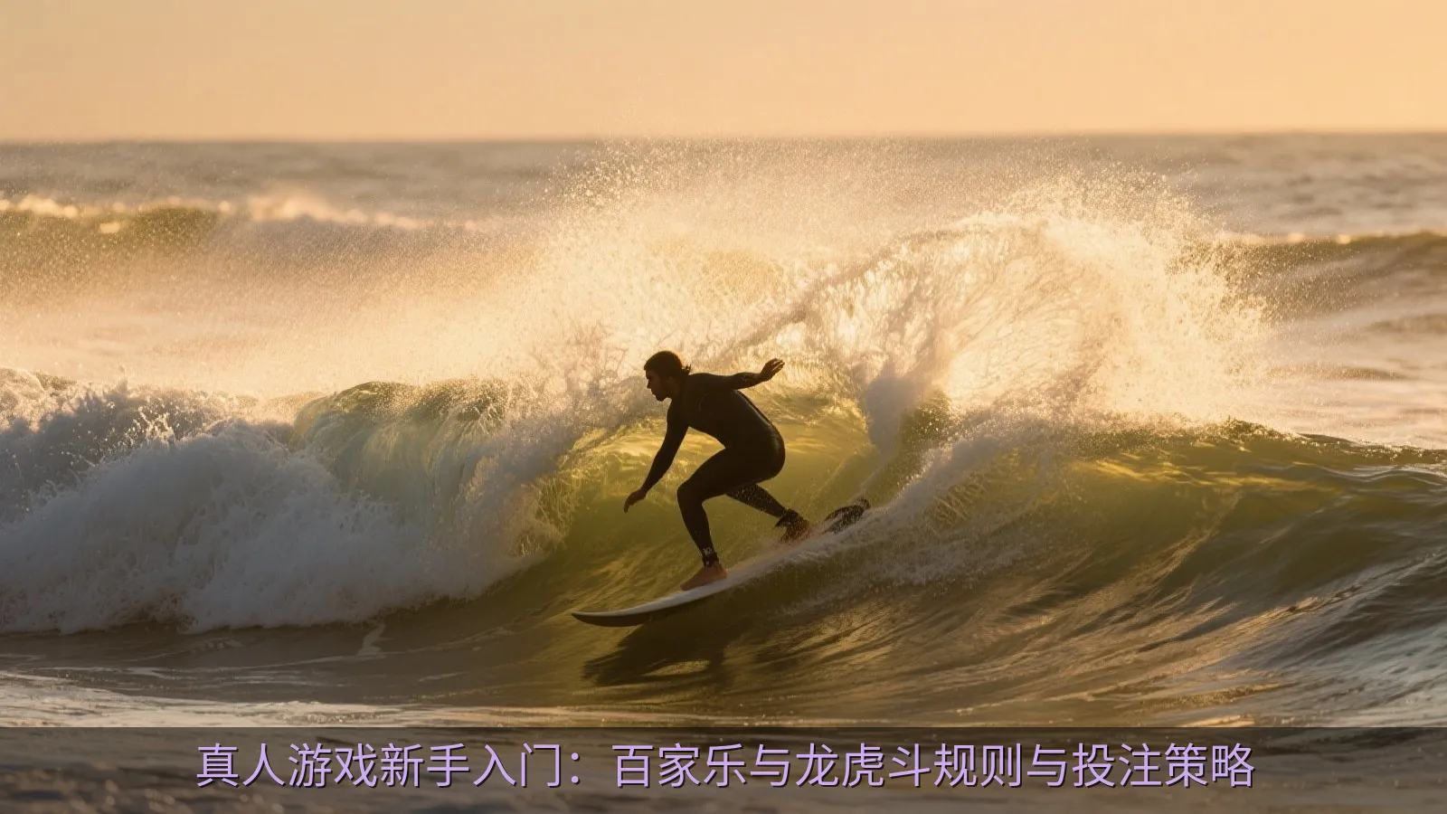 简约的红蓝对比概念设计图
